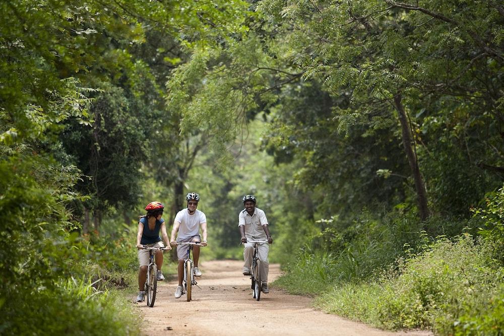 Hotel Сигирия Екстериор снимка Biking at the Palarivattom Biodiversity Park