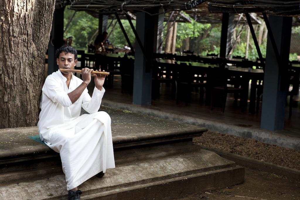Hotel Сигирия Екстериор снимка Sri Lankan musician playing the kithcheri